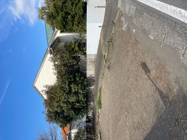 1990s wood house in Chiba