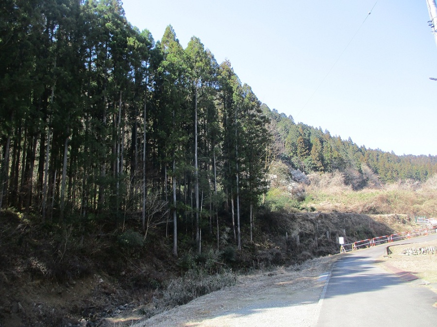 Wood house in Gunma