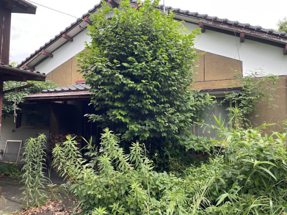1970s wood house on a large plot in Miyazaki