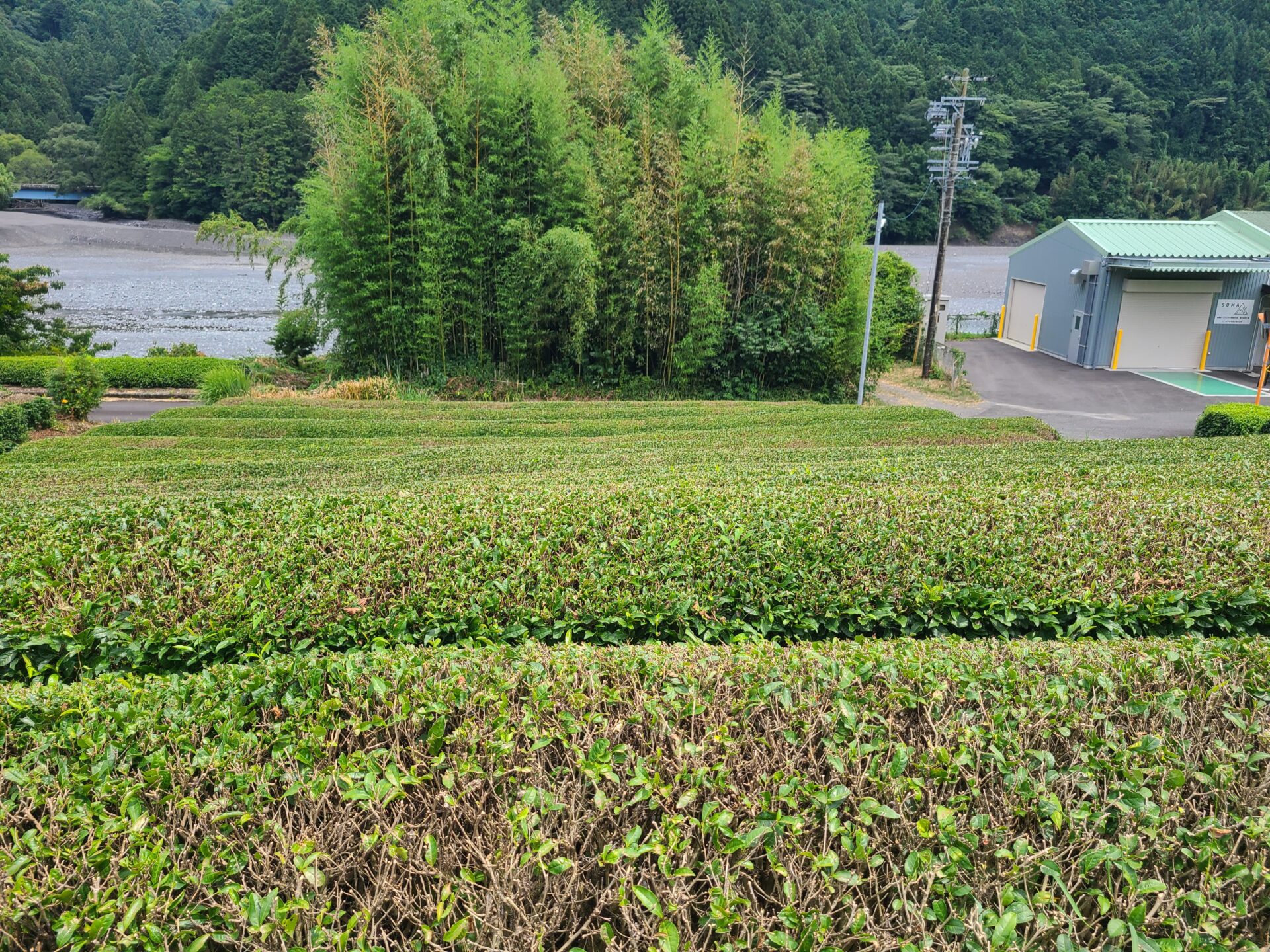 1990s wood house, 16-min walk to station, Shizuoka
