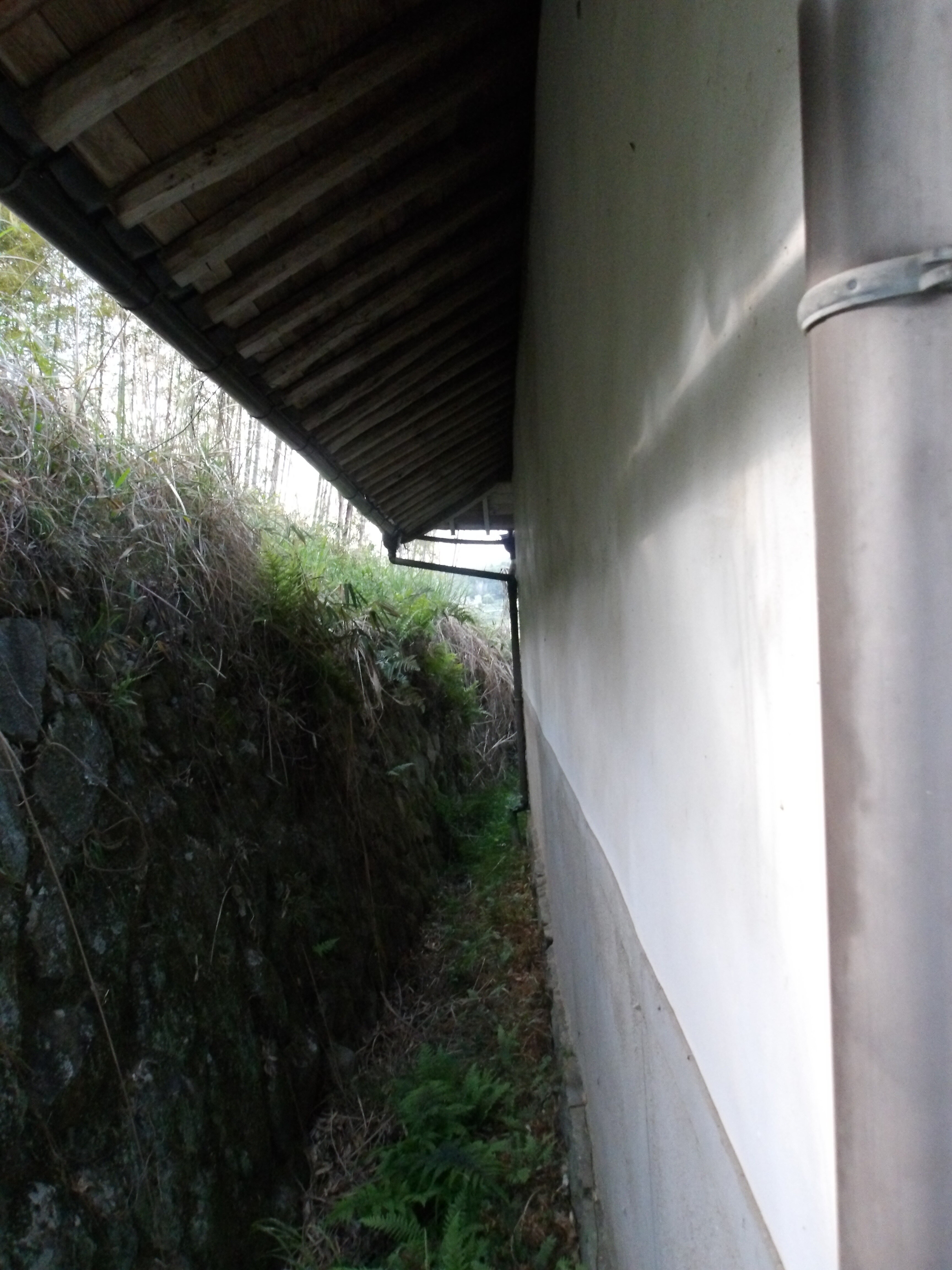 1950s wood house in Okayama
