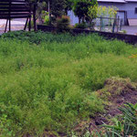 House in Kumano