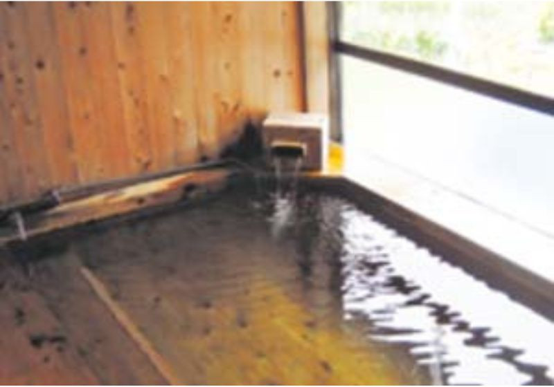 Wood house on a large plot in Urada, Tokamachi
