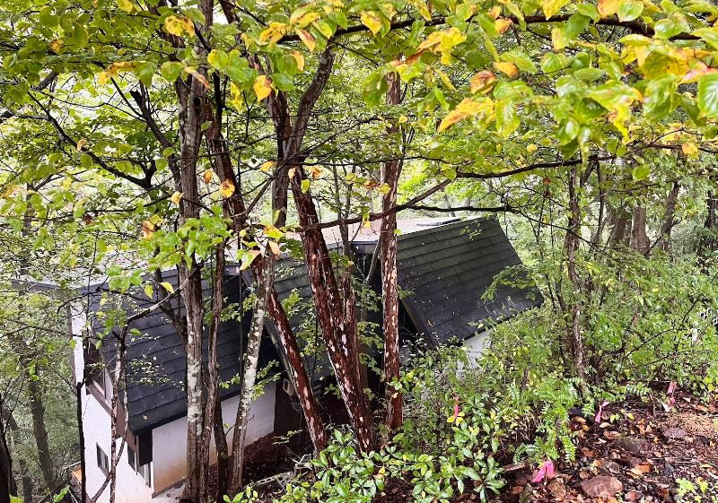 1970s wood house in Nagano