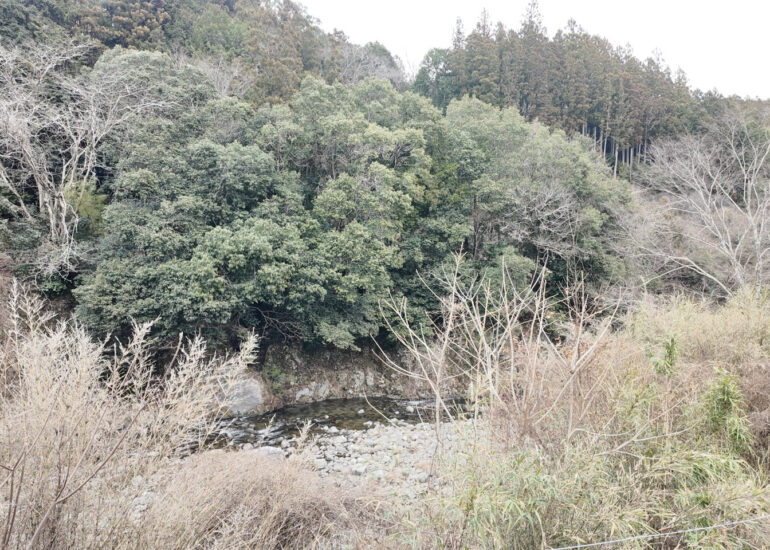 1960s wood house on a large plot in Matsusaka Kahada
