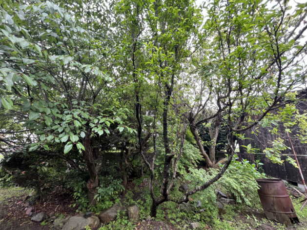 1980s wood house in Ehime