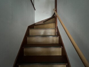 House in Kochi