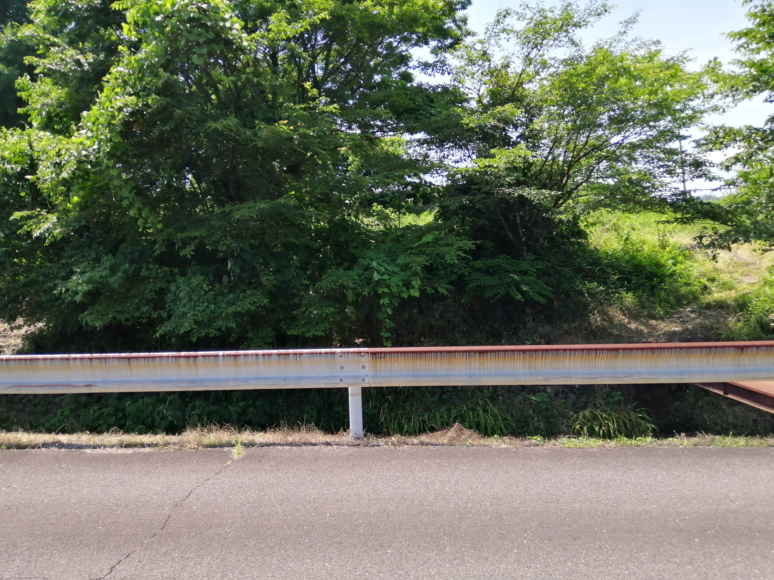 1920s wood house, 18-min walk to station, Gifu
