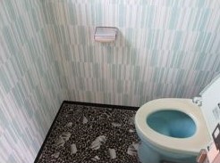 Empty home in Japan
