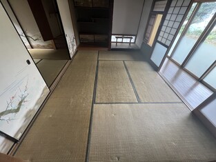 House in Kochi