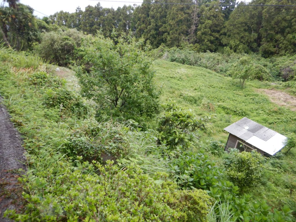 Sales Property in Futami District