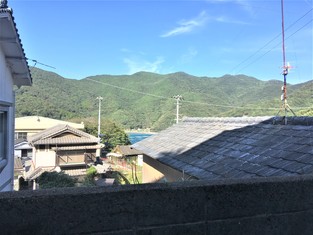 House in Kochi