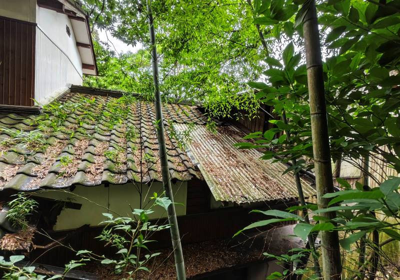 Wood house in Saga