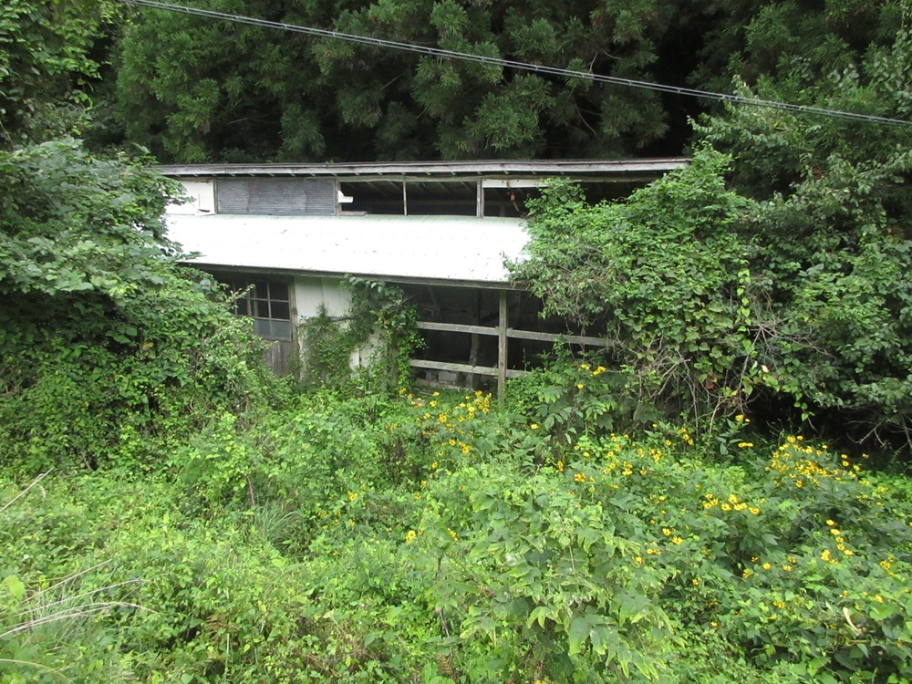 1980s wood house, 12-min walk to station, Iwate