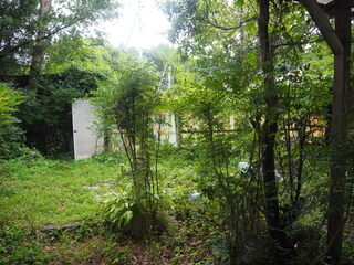 1960s concrete house in Tokushima