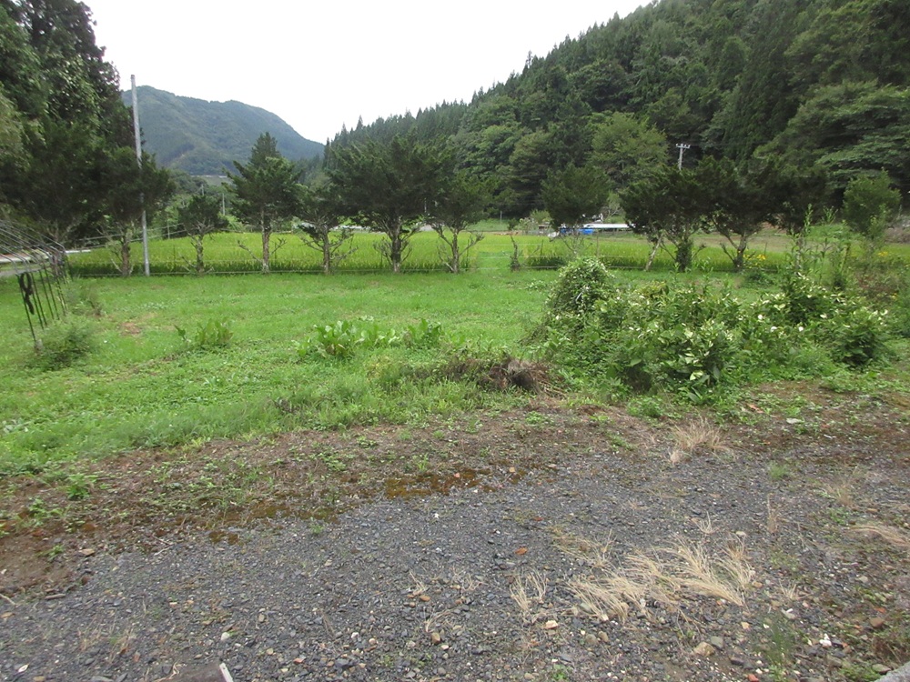1980s wood house, 12-min walk to station, Iwate
