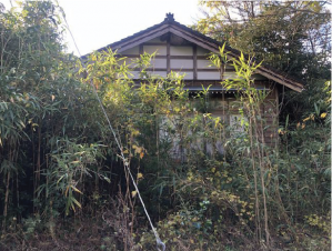 Wood house on a large plot in Niigata