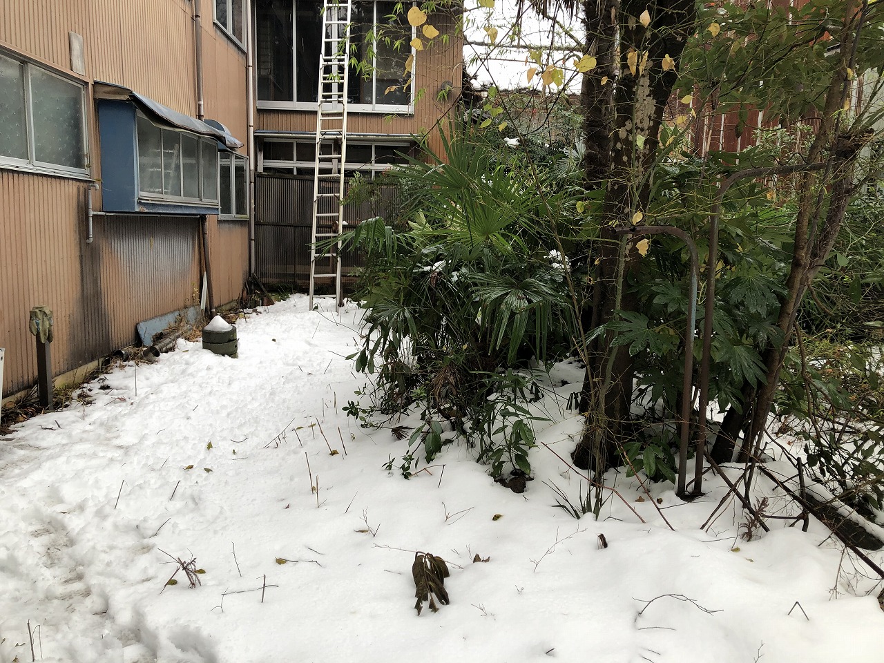 1920s wood house, 8-min walk to station, Toyama