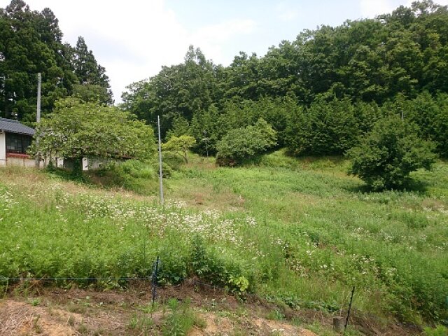 1970s wood house on a large plot in Fukushima
