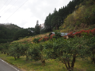 1930s wood house in Tokushima
