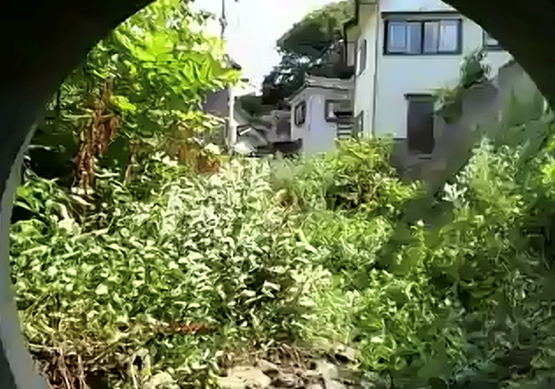 1960s wood house in Yamagata