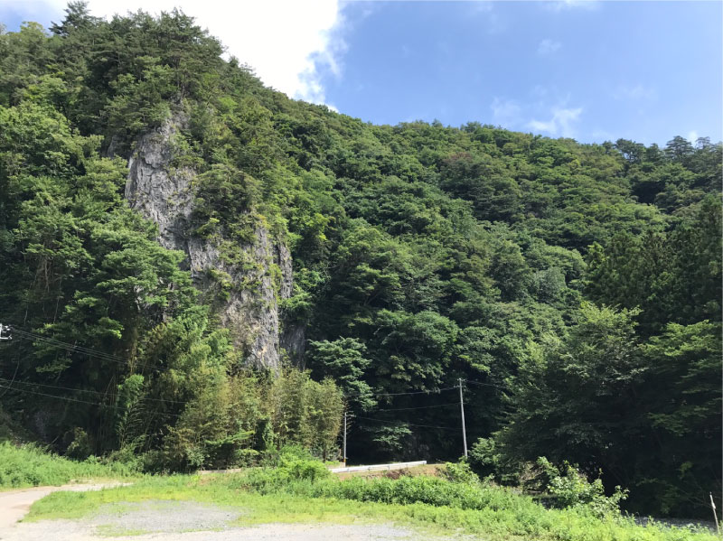 Wood house in Iwate