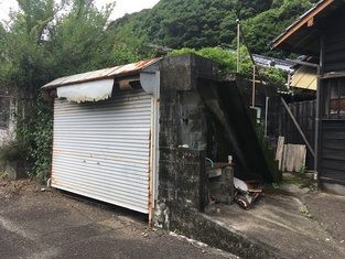 House in Kochi