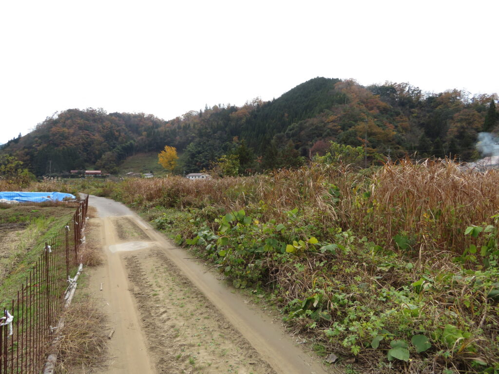 1980s wood house in Shimane