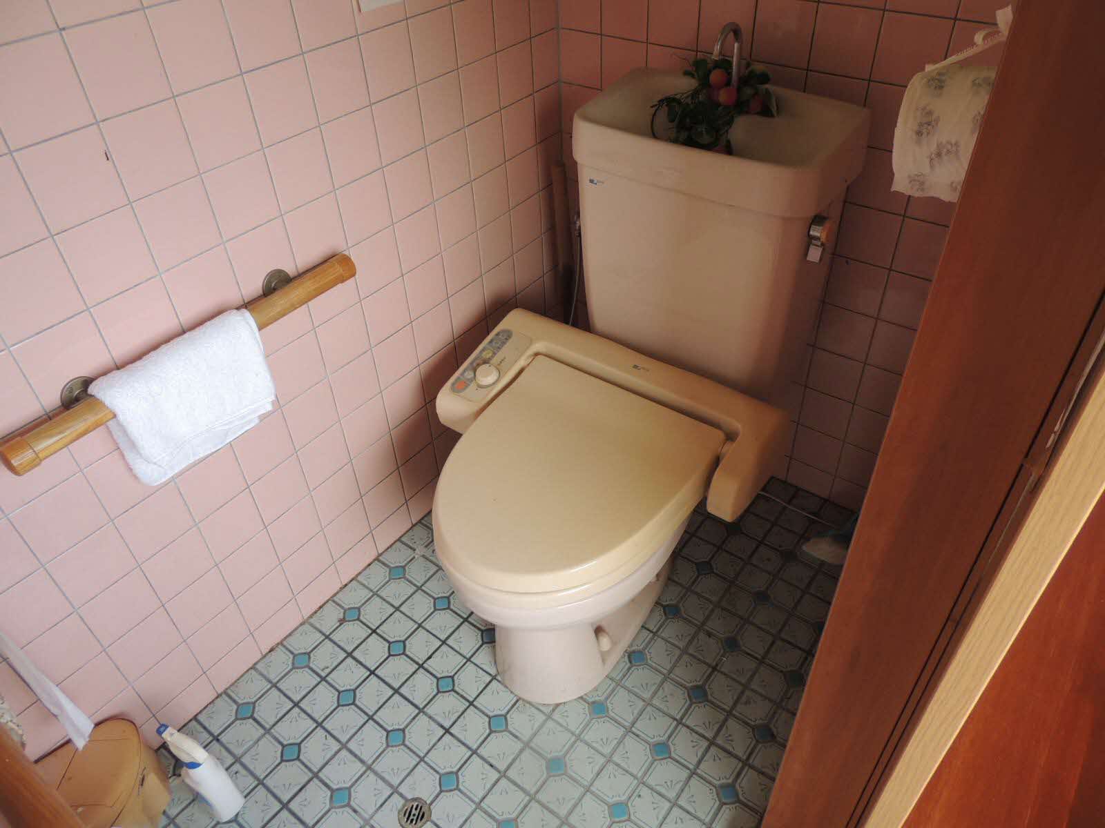 1990s wood house with outbuildings in Okayama