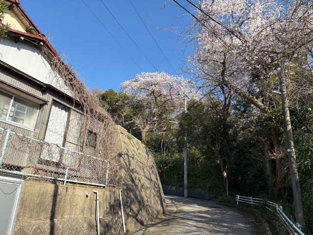 1960s wood house in Kanazawa
