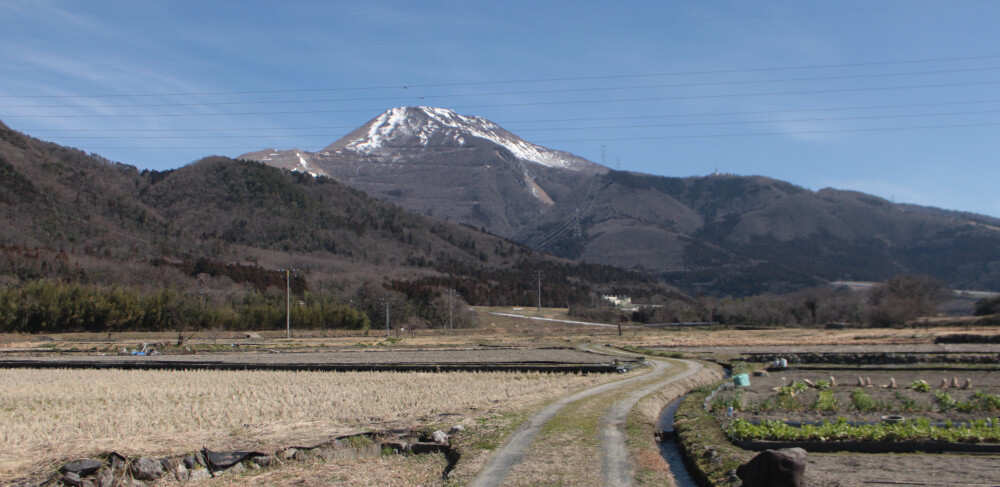 1980s wood house in Shiga