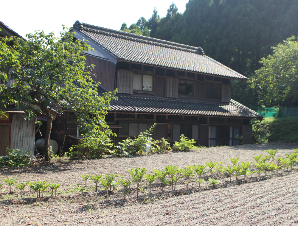 Wood house in Shiga