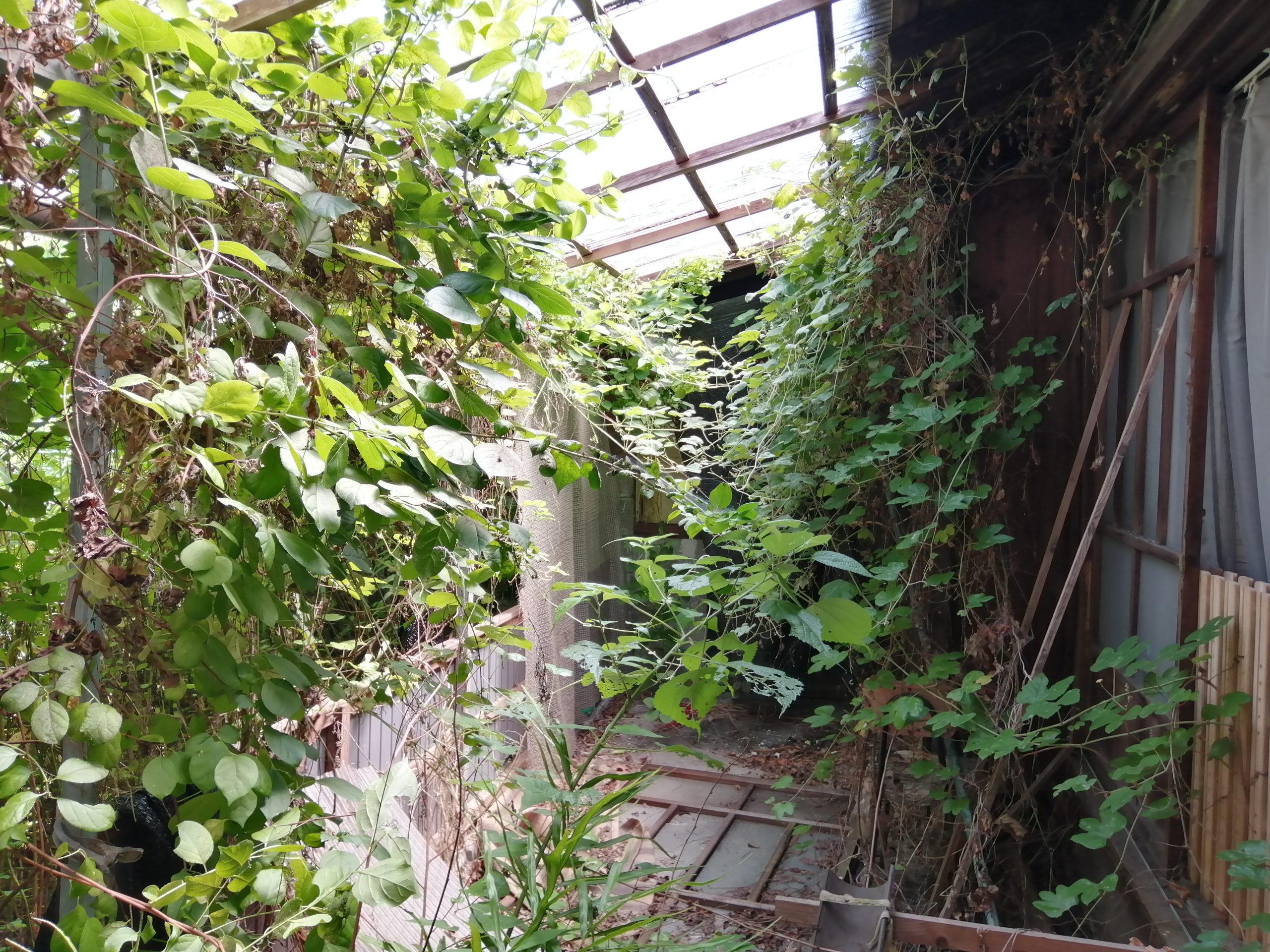 1920s wood house, 18-min walk to station, Gifu