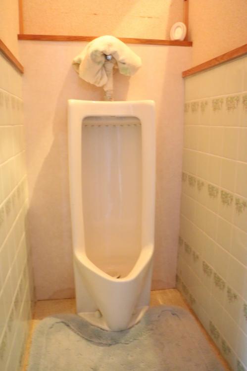No.339 Togowachi (For Sale)