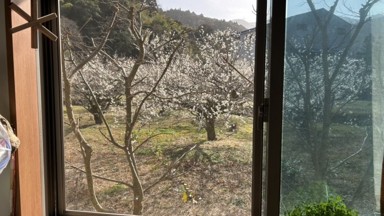 Wood house in Tokushima