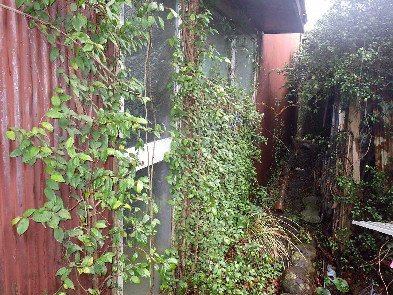 1970s wood house in Kochi
