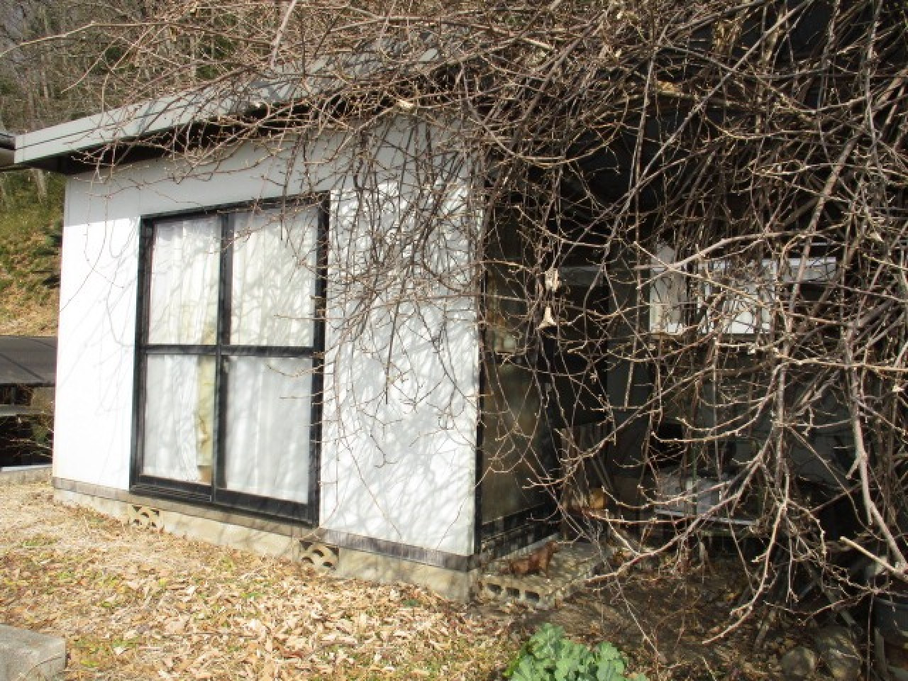 1950s wood house in Tochigi