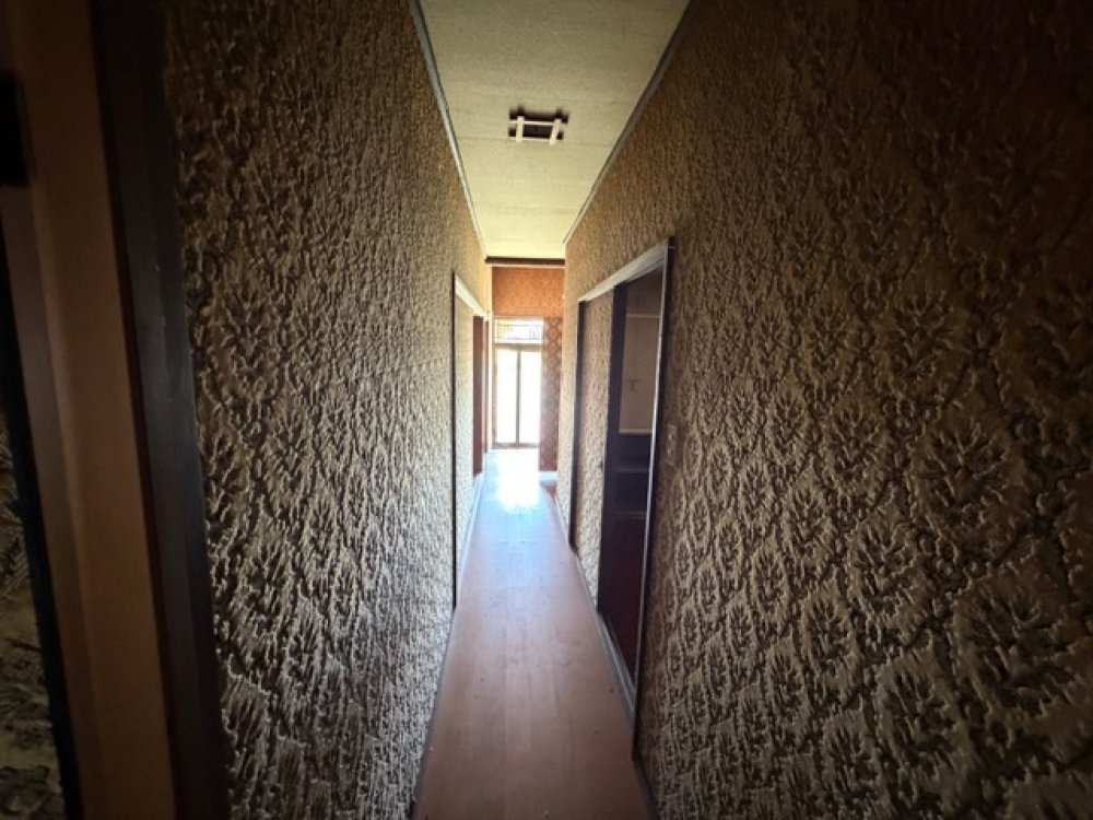 Distinctive Japanese room! Excellent sunlight.
