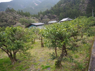 1930s wood house in Tokushima