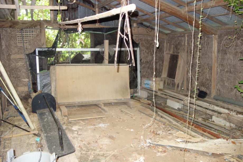 1970s wood house on a large plot in Nagasaki