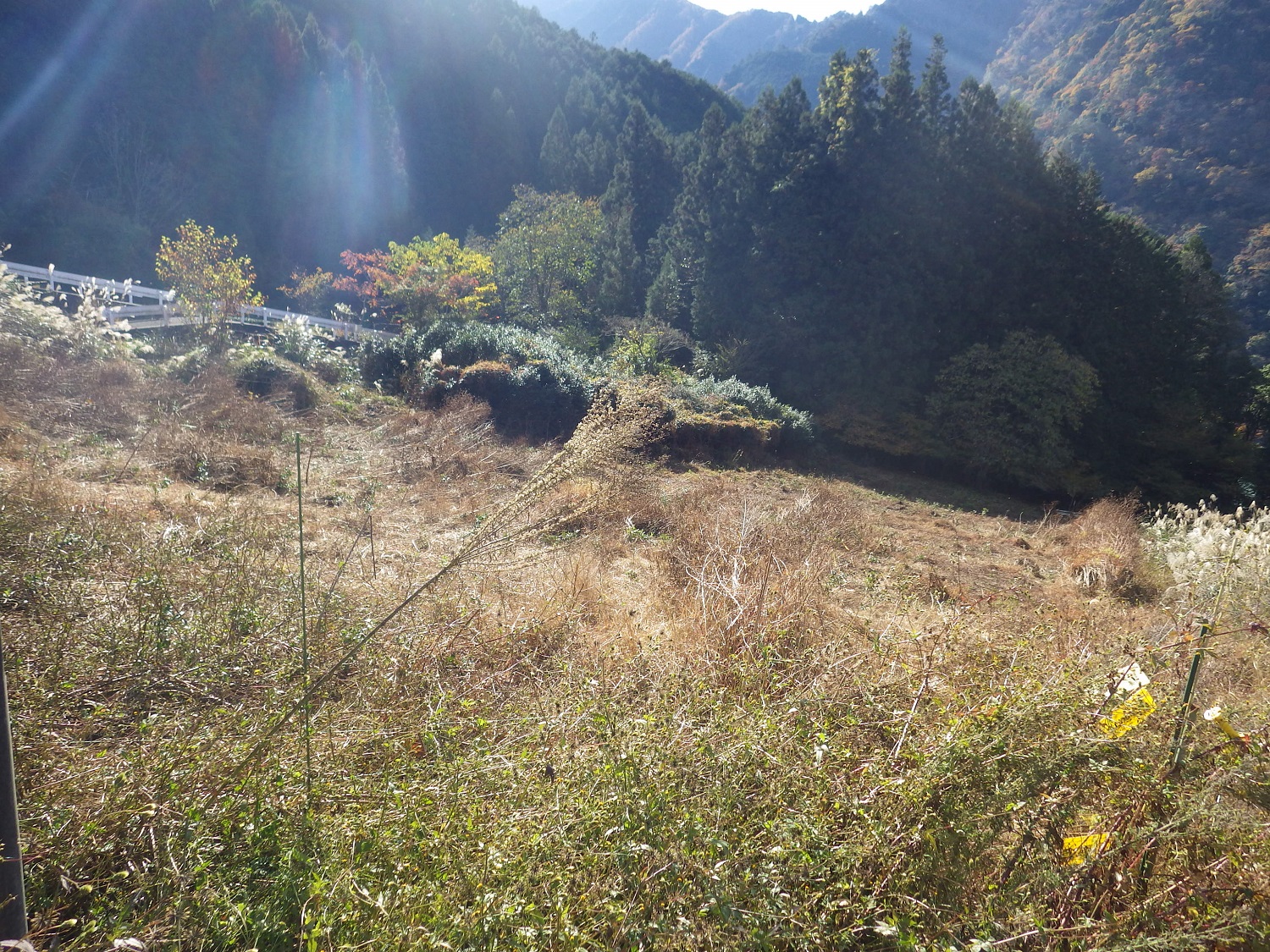 1950s wood house with storehouses in Shizuoka