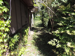 House in Kochi