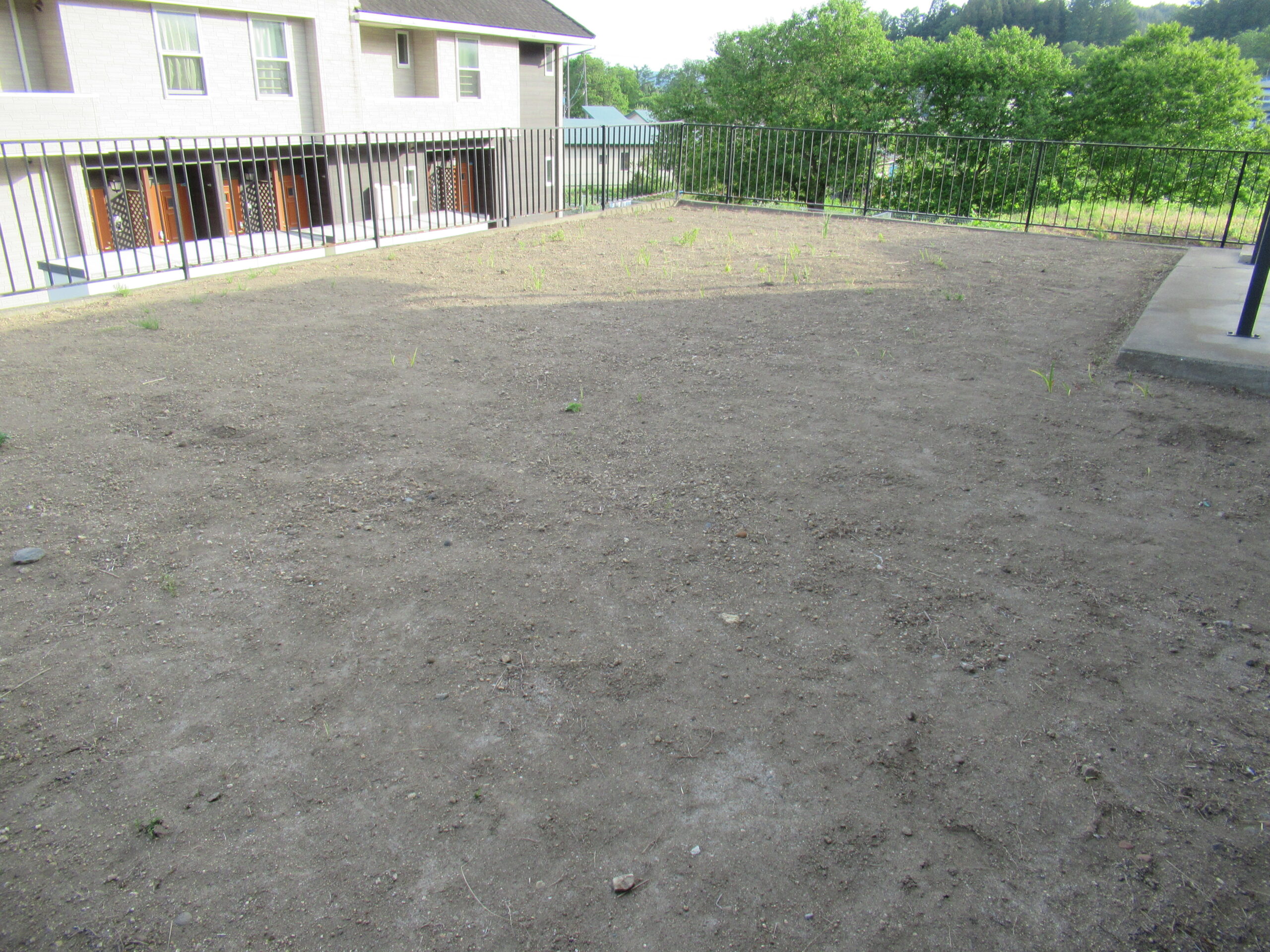 Wood house in Aomori