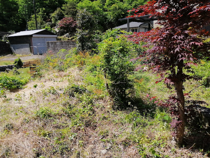 Wood house in Gifu