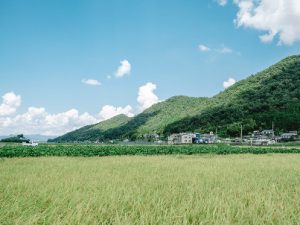 Wood house in Fukuchiyama, Kyoto, farmland, approval needed