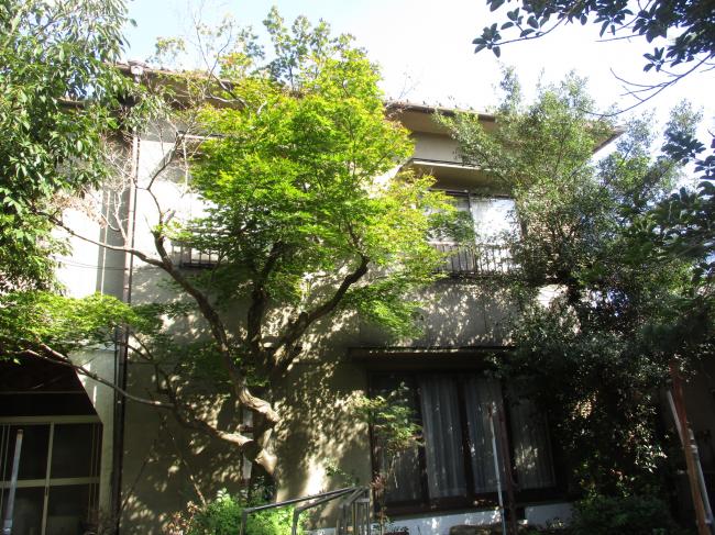 1920s wood house, 15-min walk to station, Okayama