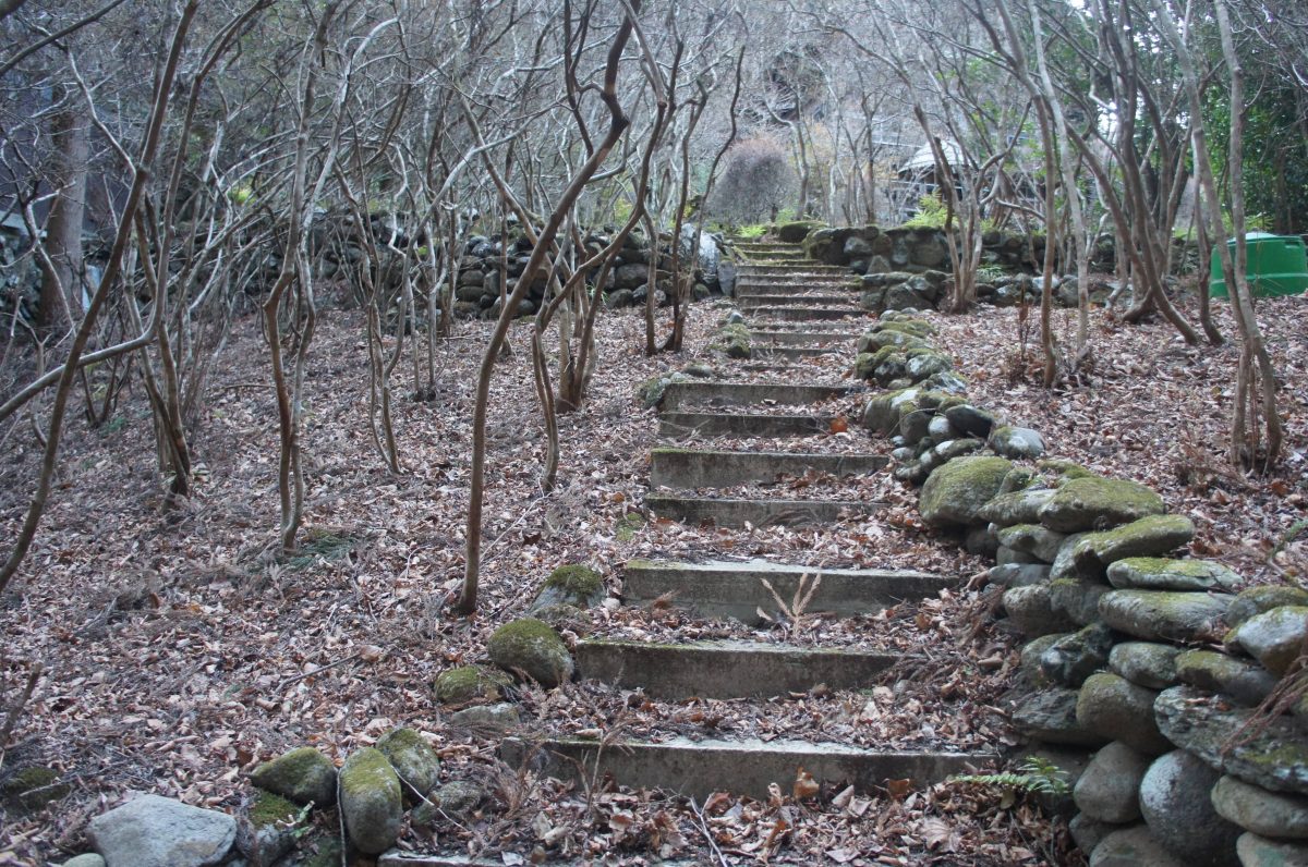 Wood house in Gunma