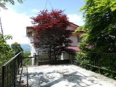 1980s wood house in Shizuoka