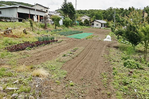 1970s house on a large plot in Komoro