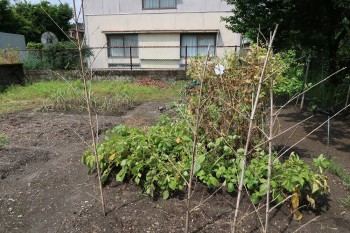 1980s house with outbuildings in Minamisatsuma, Kagoshima